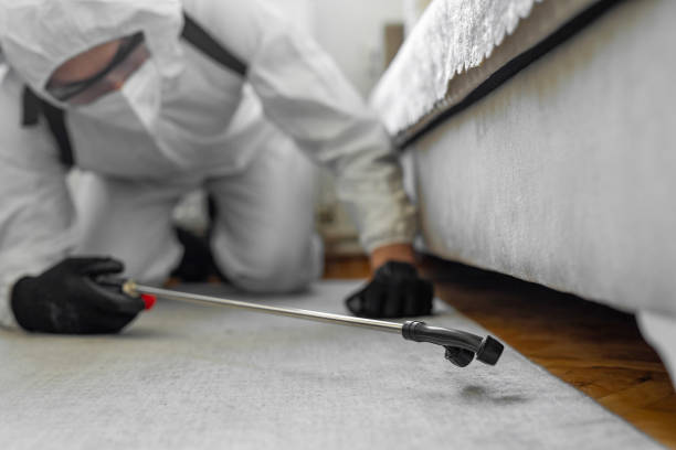 Professional Bed Bug Control technician working in Delaware County County, NY